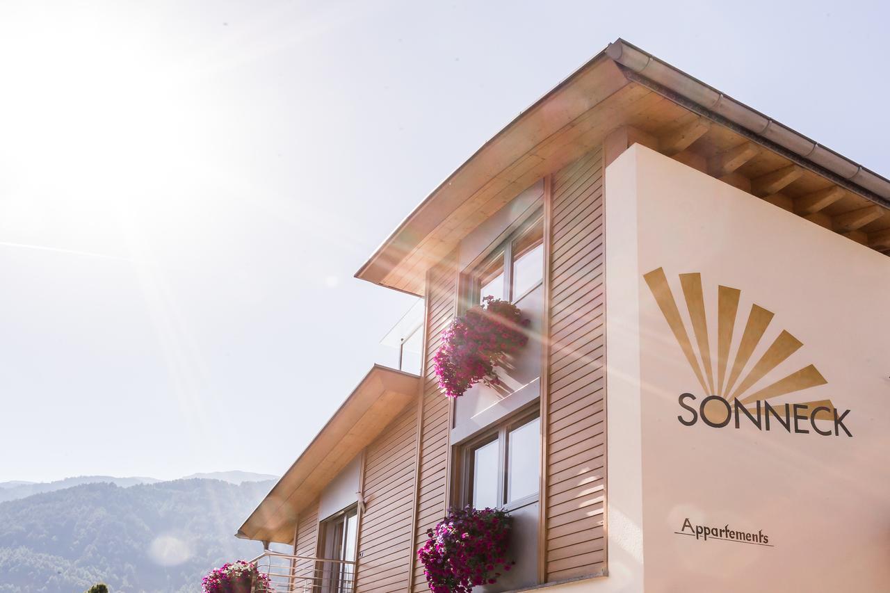 Appartements Sonneck 富内斯 外观 照片